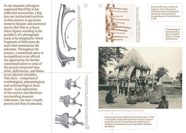 Sharif Bey: Excavations