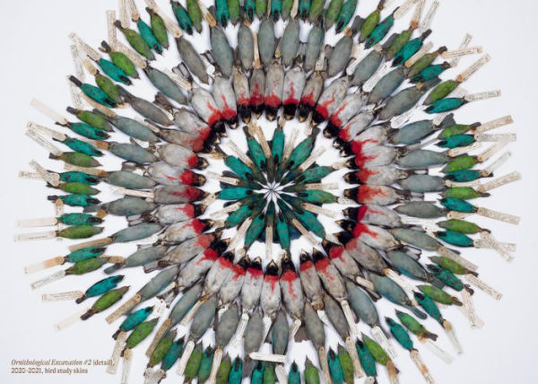 Sharif Bey: Excavations