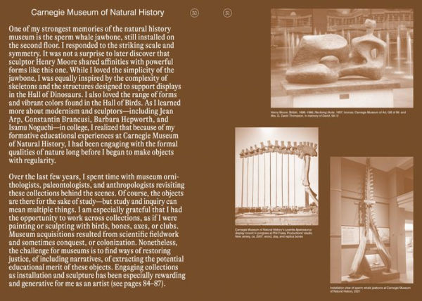 Sharif Bey: Excavations