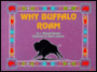 Why Buffalo Roam