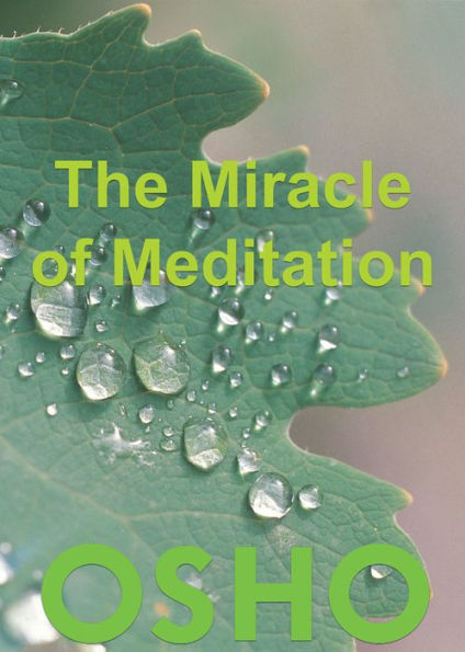 The Miracle of Meditation