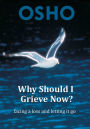 Why Should I Grieve Now?: facing a loss and letting it go