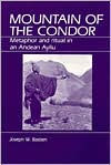 Title: Mountain of the Condor: Metaphor and Ritual in an Andean Ayllu / Edition 1, Author: Bastien