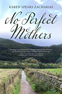 No Perfect Mothers: A Novel