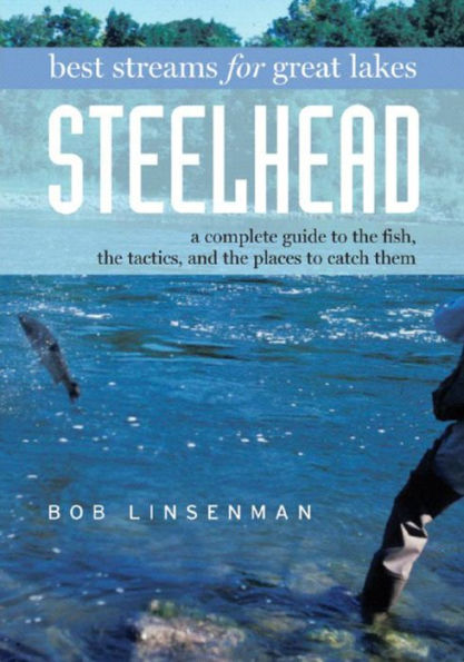 Best Streams for Great Lakes Steelhead: A Complete Guide to the Fish, the Tactics, and the Places to Catch Them