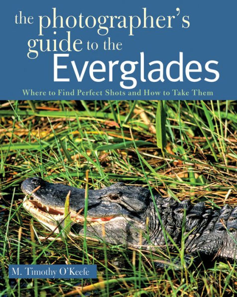 The Photographer's Guide to the Everglades: Where to Find Perfect Shots and How to Take Them