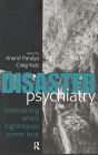 Disaster Psychiatry: Intervening When Nightmares Come True / Edition 1