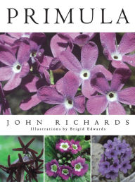 Title: Primula, Author: John Richards