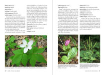 Alternative view 2 of Wildflowers of the Pacific Northwest: Timber Press Field Guide