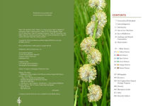 Alternative view 6 of Wildflowers of the Pacific Northwest: Timber Press Field Guide