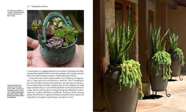 Designing with Succulents