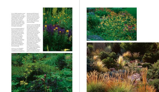 Plant-Driven Design: Creating Gardens That Honor Plants, Place, and Spirit by Scott Ogden ... on Plant Driven Design
 id=45567