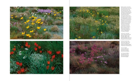 Plant-Driven Design: Creating Gardens That Honor Plants, Place, and Spirit by Scott Ogden ... on Plant Driven Design
 id=40103