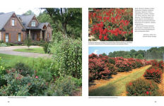 Alternative view 9 of Dirr's Encyclopedia of Trees and Shrubs