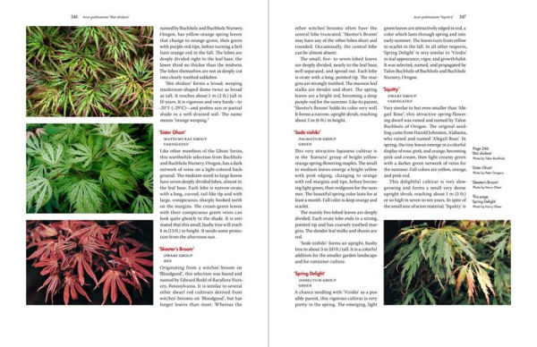 Japanese Maples: The Complete Guide to Selection and Cultivation