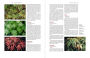 Alternative view 3 of Japanese Maples: The Complete Guide to Selection and Cultivation, Fourth Edition