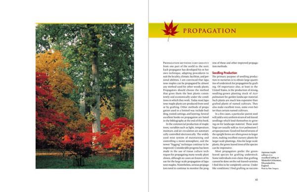 Japanese Maples: The Complete Guide to Selection and Cultivation, Fourth Edition