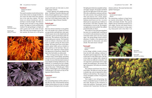 Japanese Maples: The Complete Guide to Selection and Cultivation