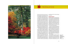 Alternative view 6 of Japanese Maples: The Complete Guide to Selection and Cultivation, Fourth Edition