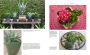 Alternative view 3 of Succulent Container Gardens: Design Eye-Catching Displays with 350 Easy-Care Plants