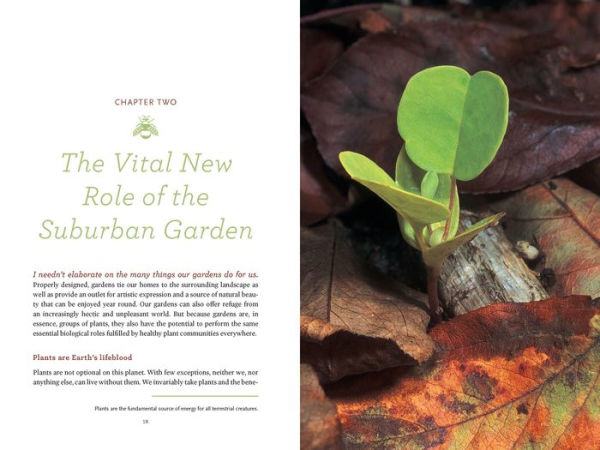 Bringing Nature Home: How You Can Sustain Wildlife with Native Plants, Updated and Expanded