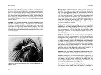 Alternative view 4 of Root Cellaring: Natural Cold Storage of Fruits & Vegetables