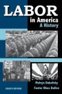 Labor in America: A History, 8th Edition / Edition 8