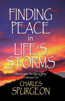 Finding Peace In Lifes Storms Finding Peace In Lifes Storms