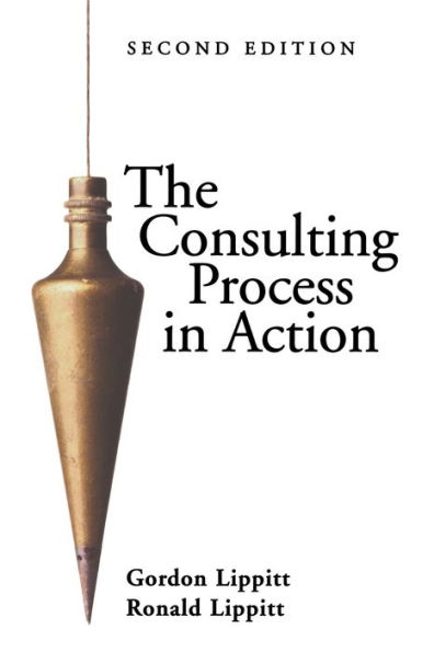 The Consulting Process in Action / Edition 2
