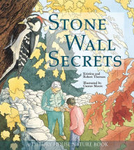 Title: Stone Wall Secrets, Author: Kristine Thorson