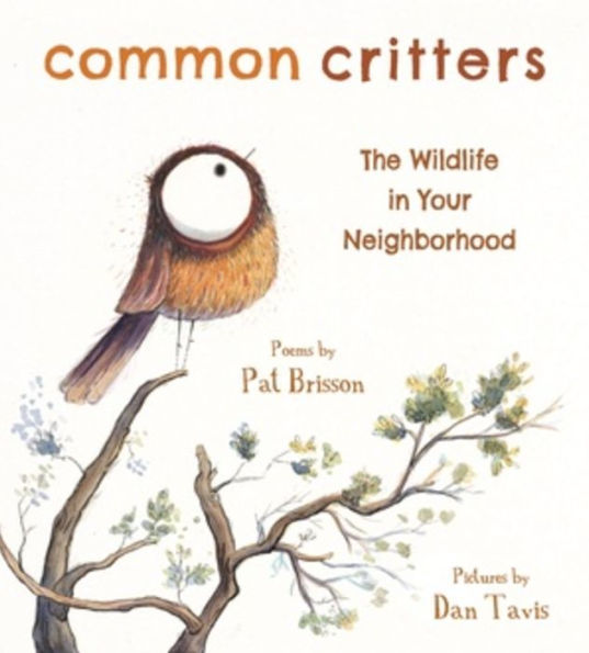 Common Critters: The Wildlife Your Neighborhood