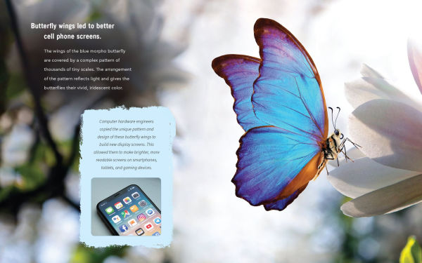 Who Knew?: The Wonders of Biomimicry