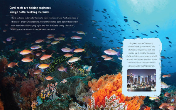 Who Knew?: The Wonders of Biomimicry