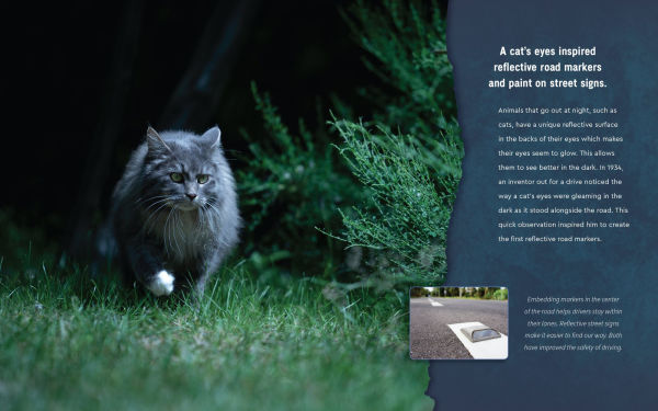 Who Knew?: The Wonders of Biomimicry