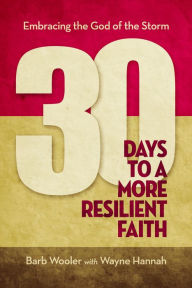 Title: 30 Days to a More Resilient Faith: Finding God in the Midst of the Storm, Author: Mohammed Zourhbat