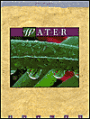 Water (Image Series)