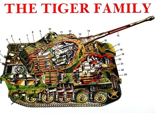 The Tiger Family
