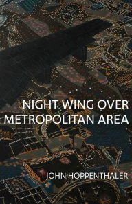 Night Wing over Metropolitan Area