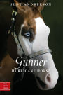 Gunner: Hurricane Horse