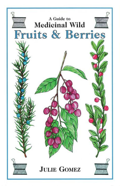 A Guide to Medicinal Wild Fruits and Berries