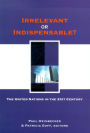 Irrelevant or Indispensable?: The United Nations in the Twenty-first Century / Edition 1