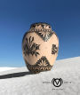 Virgil Ortiz: reVOlution