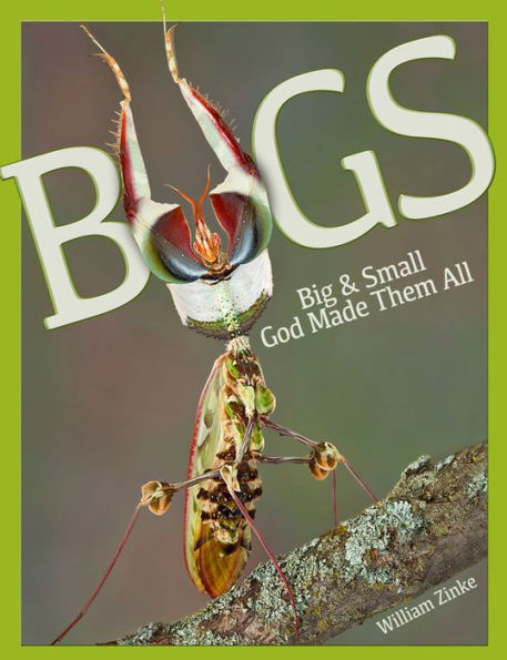 Bugs: Big & Small, God Made Them All