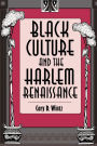Black Culture and the Harlem Renaissance / Edition 1