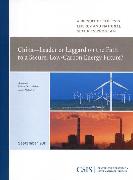 China-Leader or Laggard on the Path to a Secure, Low-Carbon Energy Future