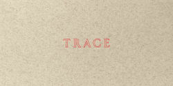 Alternative view 1 of Jenny Holzer: Trace