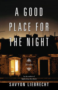 Title: A Good Place for the Night: Stories, Author: Savyon Liebrecht