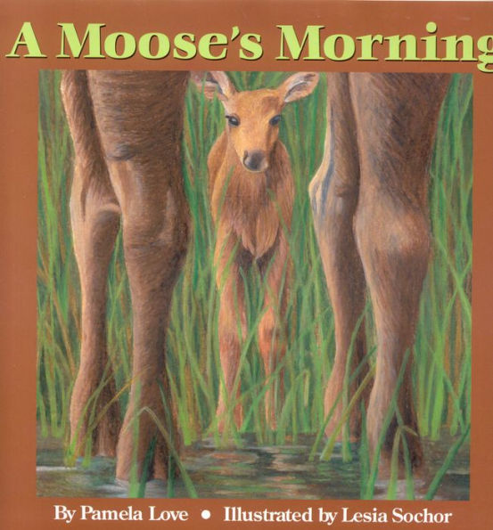 A Moose's Morning