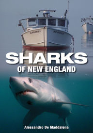 Title: Sharks of New England, Author: Alessandrao De Maddalena