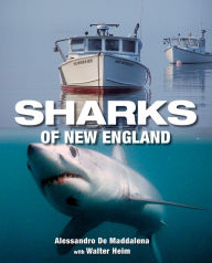 Title: Sharks of New England, Author: Alessandrao De Maddalena